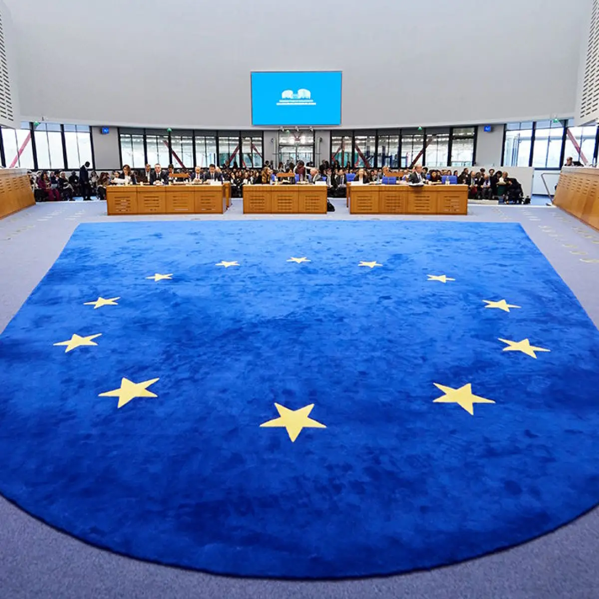 4 - ECHR Grand Chamber Landmark